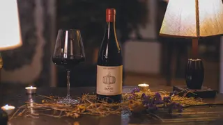 Saperavi Qvevri, Dante - MD Winery