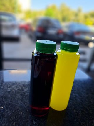 Borovnica  za ponijeti