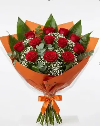 12 rose rosse