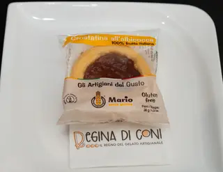 Crostatina albicocca