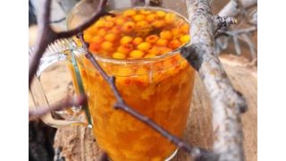 Облепиховый чай (350мл)