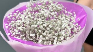 Mały bukiet z Gipsówki