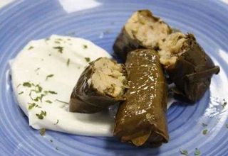 Dolmades + Tzatziki