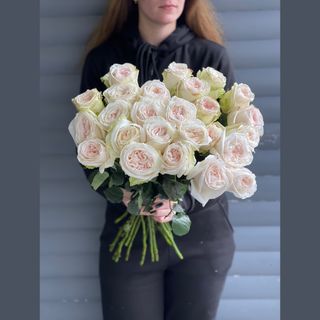 Троянд півоноподібна White O'Hara поштучно