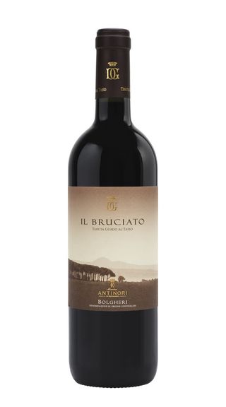 Bolgheri Rosso "il Bruciato" Guado al Tasso 2023