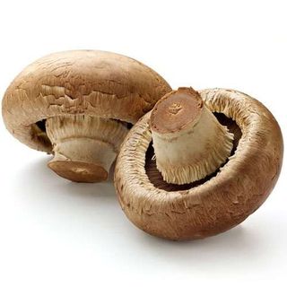 Champiñón Portobello BÍO