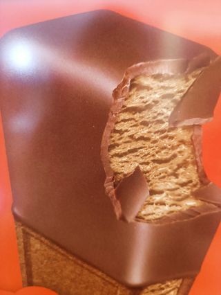 Sandwich Nocilla XXL