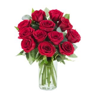 Docena Rosas Color Rojo