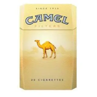 Camel