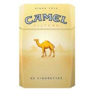 Camel