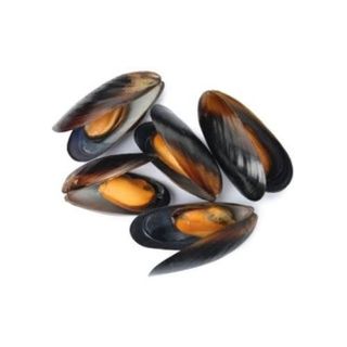 Mejillones
