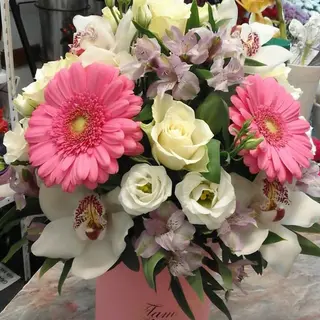 Box 8