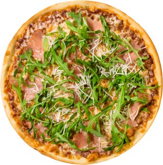 Samaro italiano (20 cm)