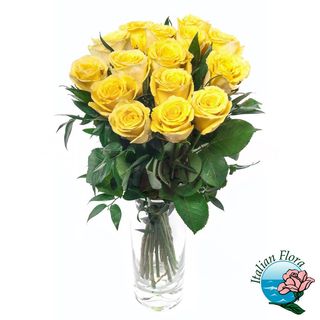 10 Rose gialle
