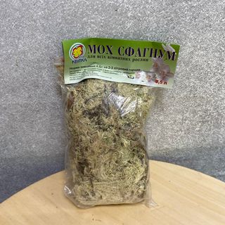 Мох Сфагнум 