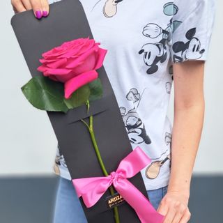 Trandafir Artizan Fucsia N