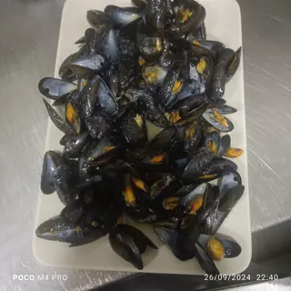 MEJILLONES DE ROCA A LA PLANCHA