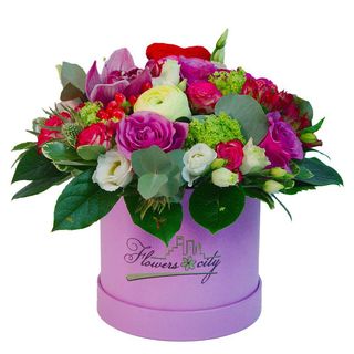 Cutie (1391)violet mixt din trandafiri, orhidee, eustoma si verdeata decorativa