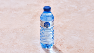 Agua Fontdor 500ml