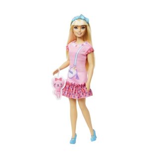 Papusa Barbie - Malibu cu accesorii [4189516]