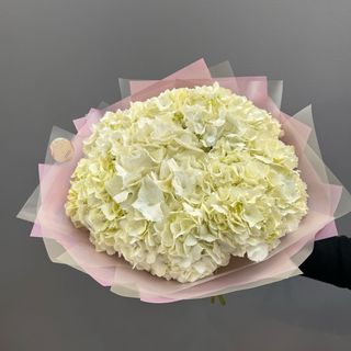 Ramo de 7 hortensias blancas 