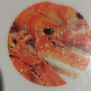 98. Cigalas (5 Uds.)