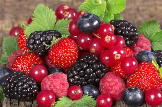 Frutti di bosco
