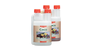 CANNA Coco A&B 250 მლ
