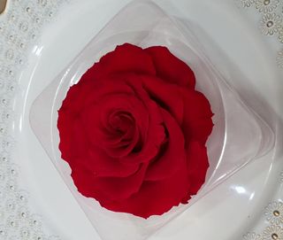 Trajna ruža crvena mega 