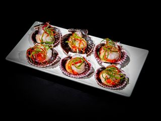 18V. Vieira (6 Uds.)