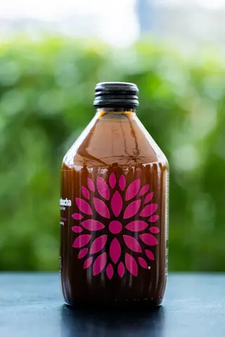 VIGO KOMBUCHA MANGO-MARCUJA