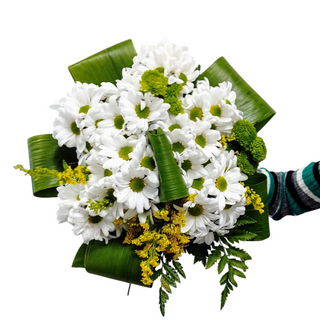 Ramo de Margaritas blancas