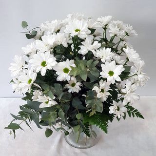 Ramo De Margaritas Blancas