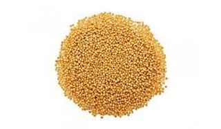 Mostaza En Grano (50 Gr Aprox)