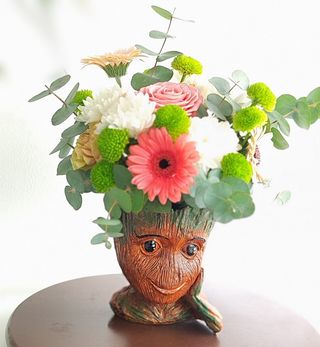 Baby Groott  și povestea florilor