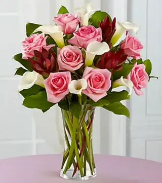 Pretty in pink.