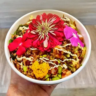 Bowl Maxi