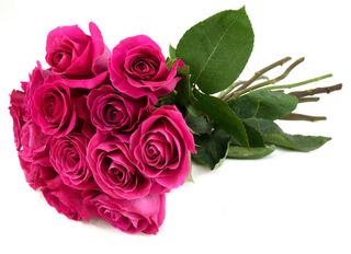 11 Рози,розови