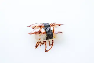 31 Tako