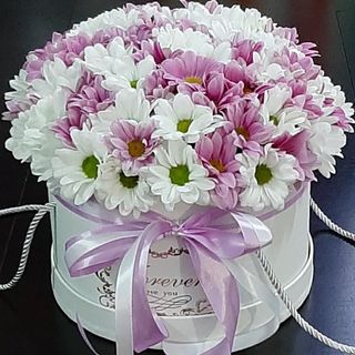 ყუთის კომპოზიცია N2