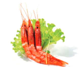 213. Sashimi de Langostinos Rojos (4 Pzs.)