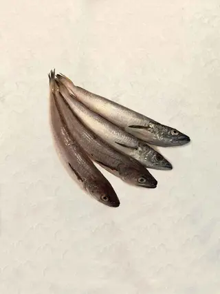 Pescadilla Pequeña Blanes (350 Gr.)