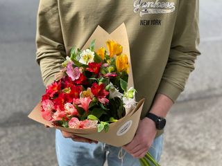 ალსტრომერია  10 ცალი