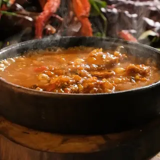 ოსტრი