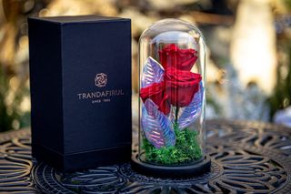 Trandafiri criogenați în cupolă