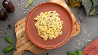 GRAMIGNA S VRHNJEM I KOBASICAMA