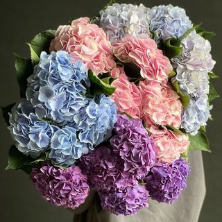 Buchet Hortensii FB 1