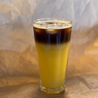 Джміль класичний М