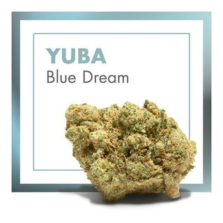 Yuba (Blue Dream) 10Gr. 25% CBD