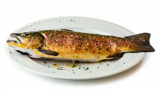 Pastrav